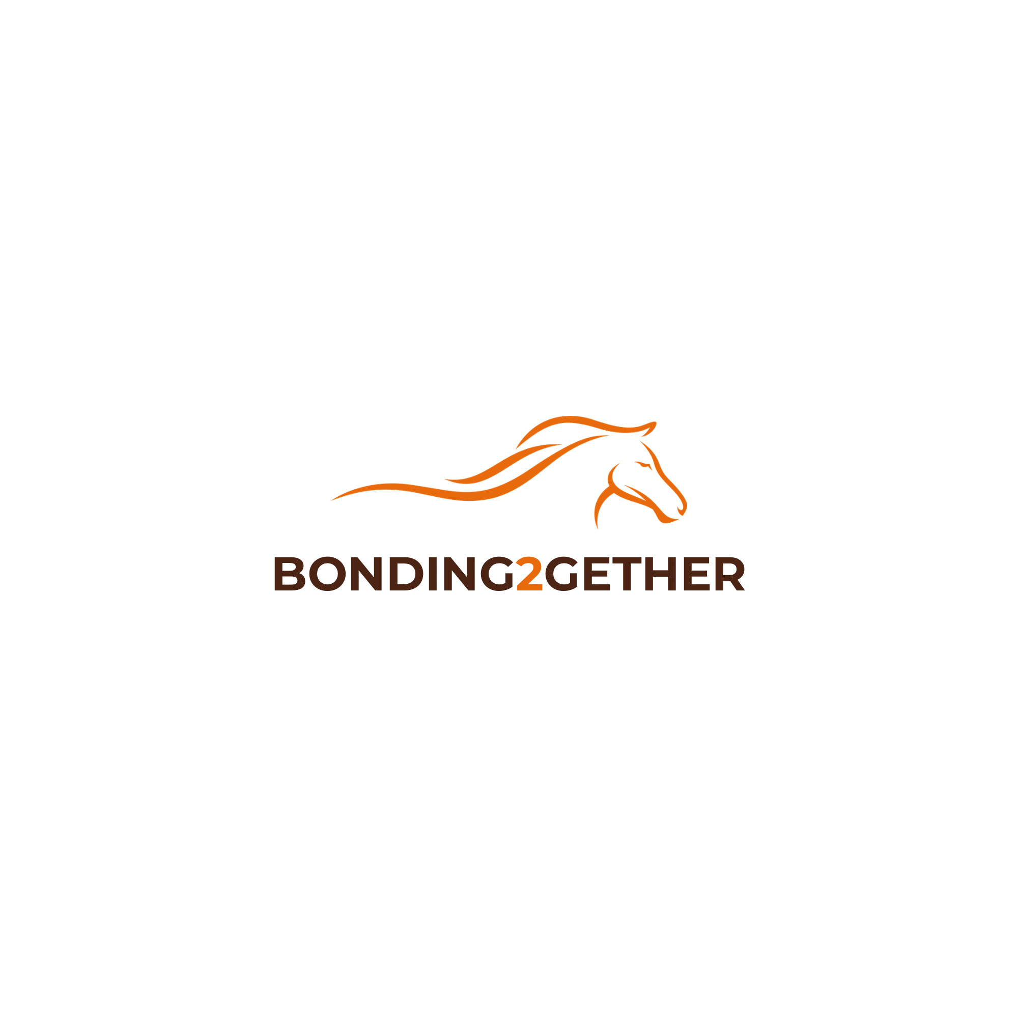Paard & Coaching